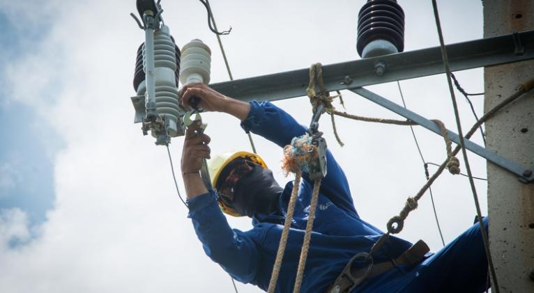 Se prevé que el domingo quede restablecido el servicio eléctrico afectado por Idalia