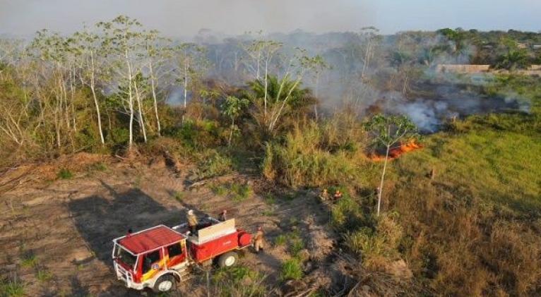 Brasil: Amazonas en alerta por la ola de incendios provocados