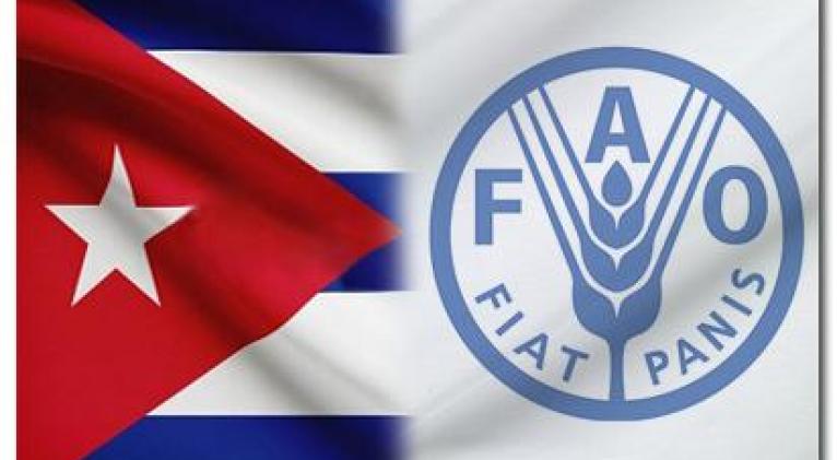 FAO colabora en Cuba con prevención sobre desperdicios alimentarios