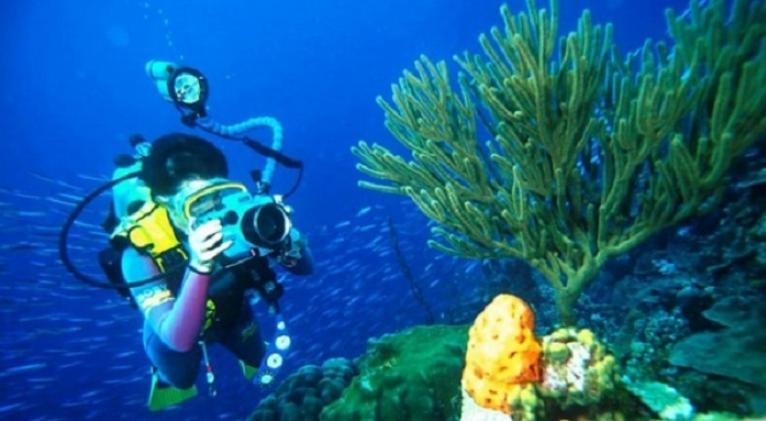 Acogerá Varadero, Cuba, Campeonato Mundial de Fotografía Subacuática