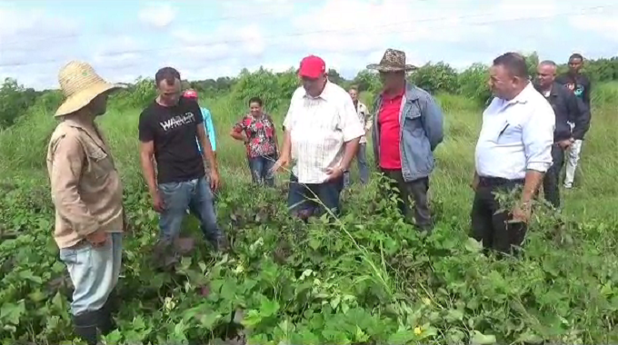 Evalúan autoridades de Las Tunas la marcha de los programas agroalimentarios y sociales en Colombia