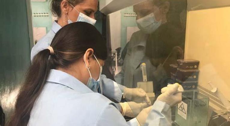 En investigación y desarrollo, prueba rápida para la detección del dengue en Cuba