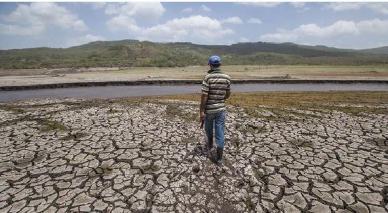 FAO: necesita 160 millones para mitigar el impacto de El Niño en seguridad alimentaria