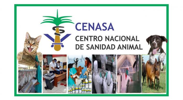 Establecen regulaciones sanitarias especiales para la importación de alimentos de origen animal