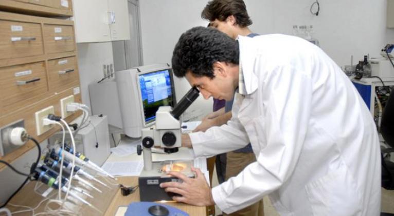 Dirigentes felicitan y reconocen a científicos cubanos en su día