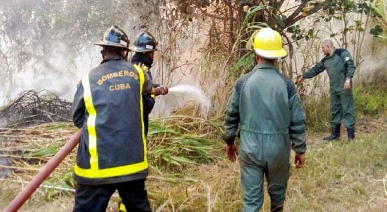 Reportan daños en bosques por incendio en área protegida cubana