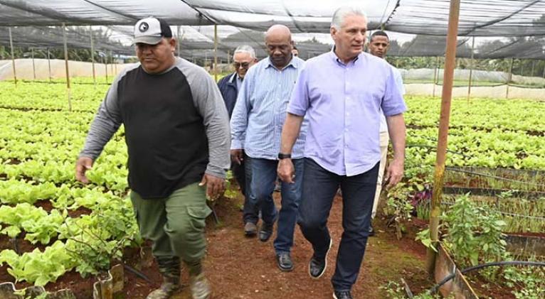 Inicia Presidente cubano recorridos de trabajo en la capital