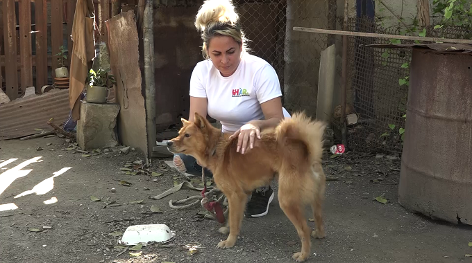 Proyecto promueve el cuidado de los animales en comunidad de Delicias