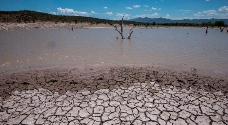 Evento climático de El Niño 2023-24 es uno de los cinco más fuertes