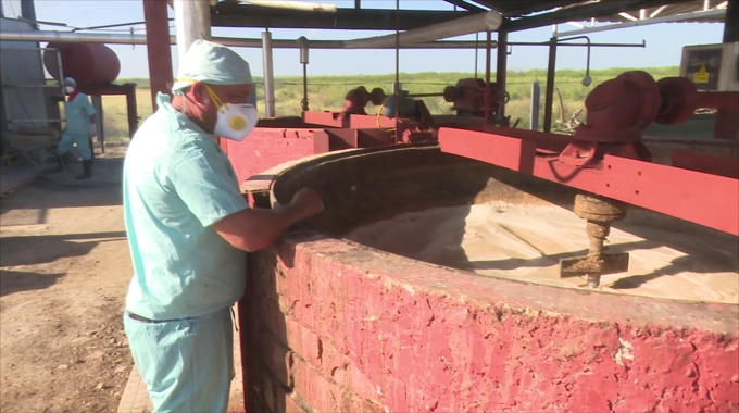 Producen pienso para la alimentación animal en Puerto Padre pese a limitaciones del bloqueo