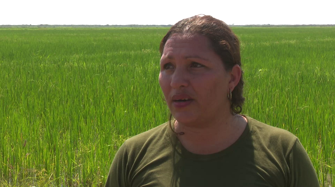 Destacan aporte de las mujeres en la producción de alimentos en la Región Militar Las Tunas