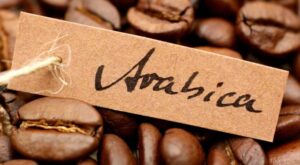 Obtienen el genoma de referencia de más calidad del café Arábica, el más popular del mundo