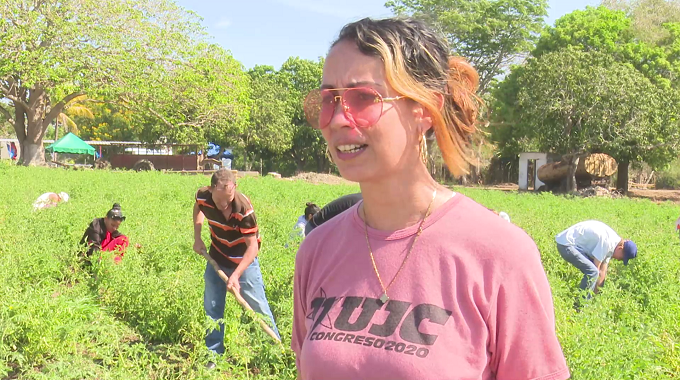 Jóvenes cubanos se insertan en proyectos agroalimentarios