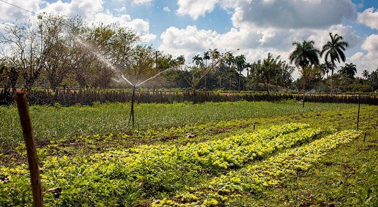 FAO y Unión Europea apoyan riego agrícola en Cuba