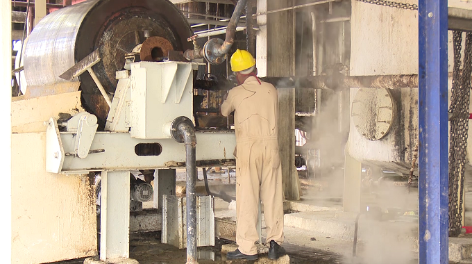 Diversifican producciones en la planta de cera del central Majibacoa