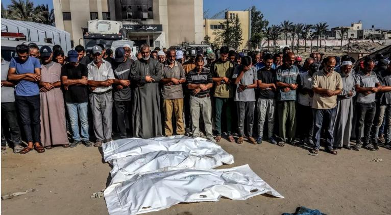 Más de 500 familias palestinas han sido eliminadas por completo en la guerra de Gaza