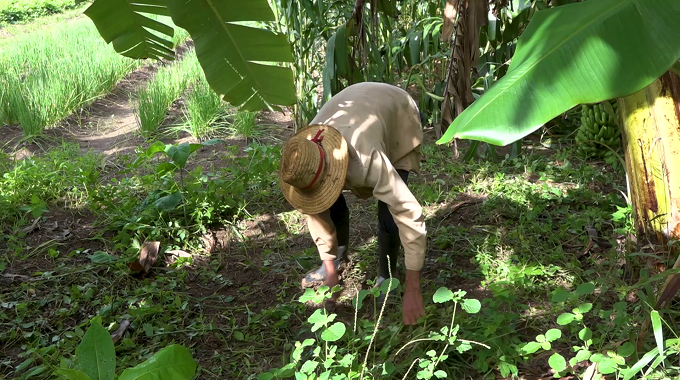 Destacan aportes de unidad productiva en Puerto Padre