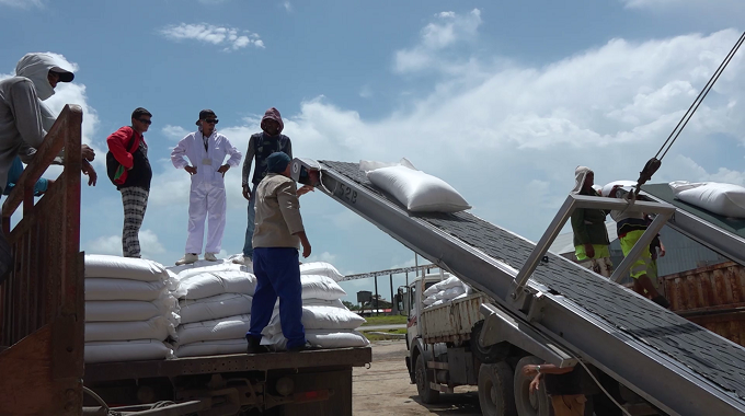 Descargan en Puerto Padre arroz destinado a la canasta familiar normada