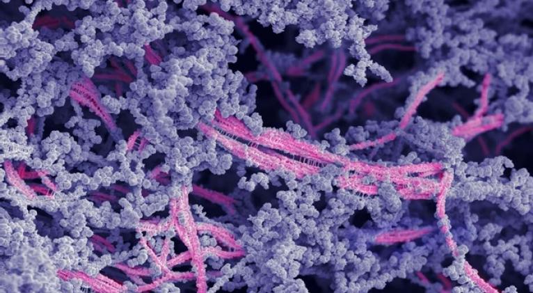 Crean nuevo biomaterial para generar cartílago articular