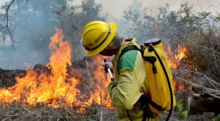 Cuba eleva prevención contra incendios forestales, valora FAO