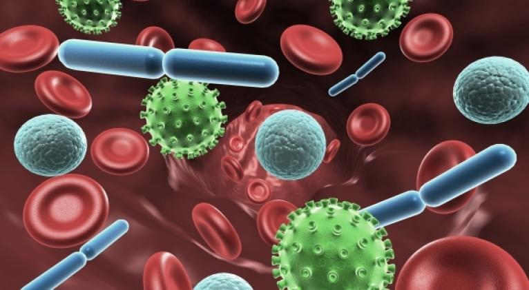 Advierten efecto de cambio climático en mayor presencia de bacterias
