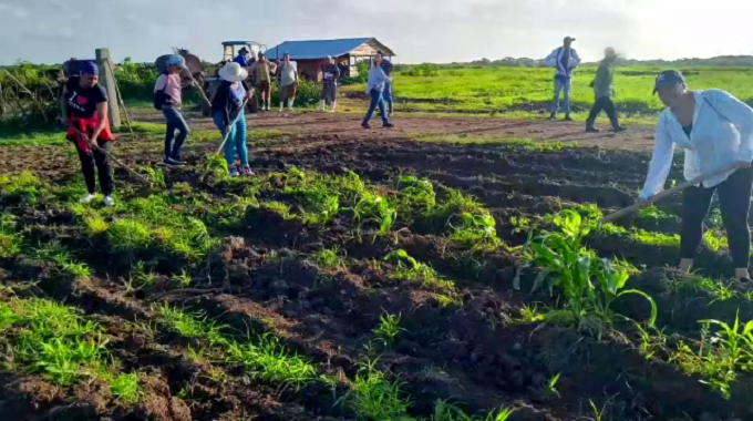 Federadas del municipio de Colombia celebrarán su día con actividades productivas