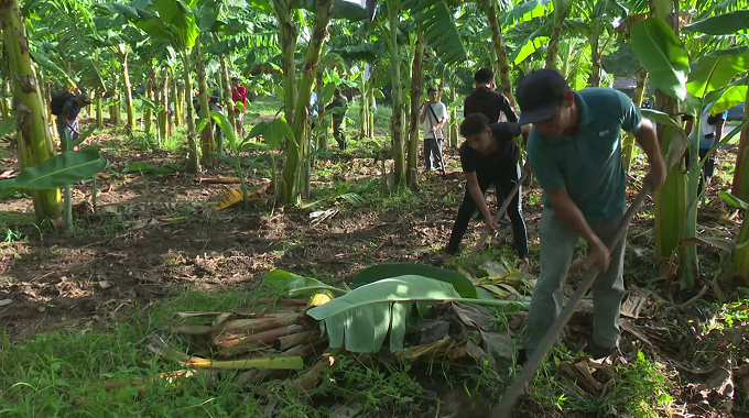 Realizan en #LasTunas trabajo voluntario en saludo al Día Internacional de la Juventud