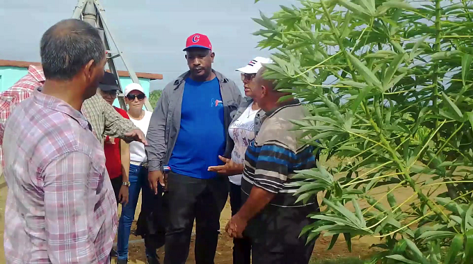 Recorre Primer Secretario del Partido áreas de interés agrícola en Puerto Padre