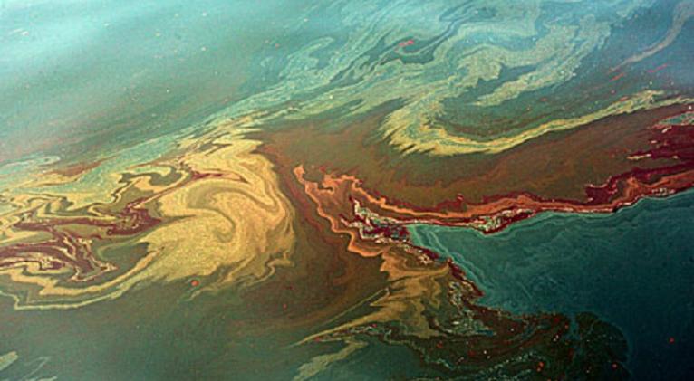 Expertos de Cuba y EEUU analizan contaminación en el Golfo de México
