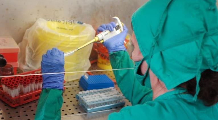 Enfrentamiento al oropouche: una nueva etapa para la ciencia cubana o la demostración de su pertinencia