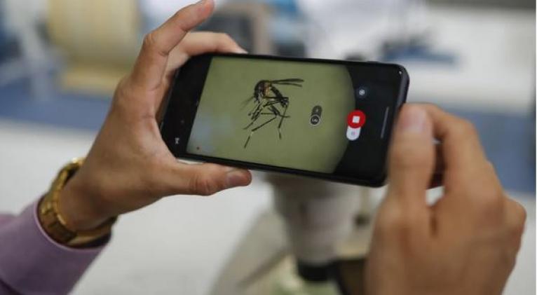 Los larvicidas dispersados por mosquitos ayudan a controlar el dengue, según un estudio