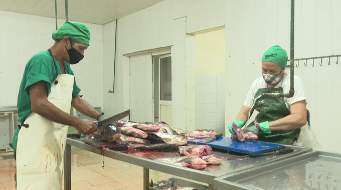 Diversifica producciones industriales Empresa Pesquera de Las Tunas