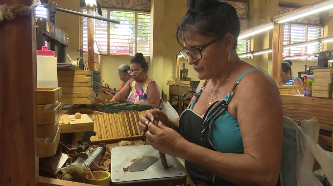 Nuevo proyecto beneficirá la exportación de tabaco en Las Tunas