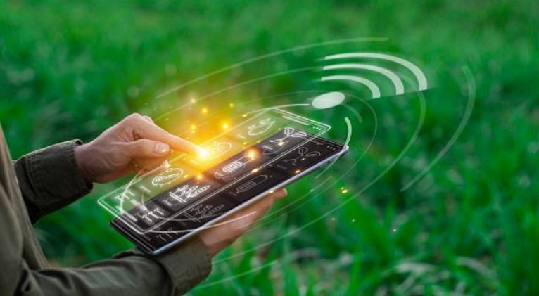 China desarrolla sistemas inteligentes de monitoreo y alerta temprana para plagas y enfermedades de plantas