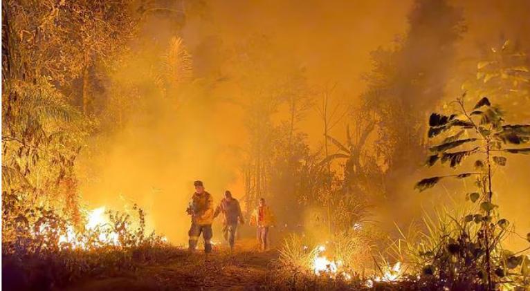 Bolivia declara "desastre nacional" por la magnitud de los incendios forestales