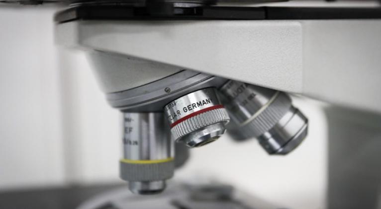 Descubren anticuerpos capaces de frenar los efectos letales de los opioides
