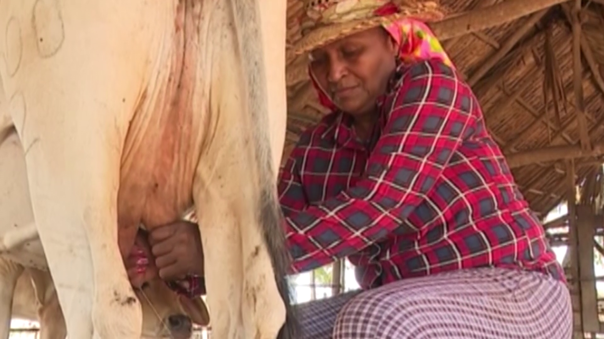 Mujeres de acero y de miel