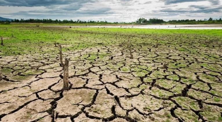 En riesgo, producción mundial de alimentos por crisis hídrica