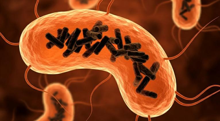 Descubren una nueva entidad biológica que habita en el cuerpo humano