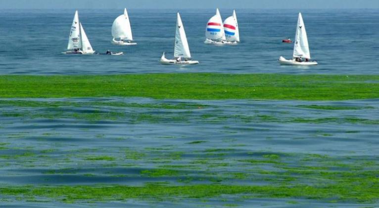 La superficie del océano se calienta cuatro veces más rápido que en los años 80