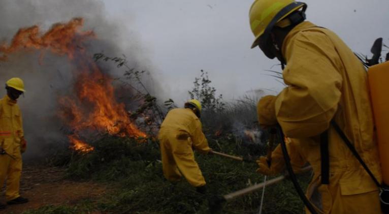 Las negligencias provocan más del 90% de los incendios forestales en Cuba
