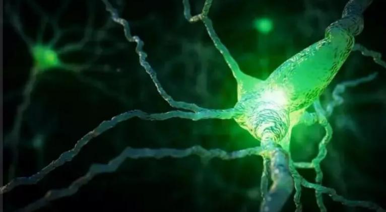 Habría una causa única para el Alzheimer