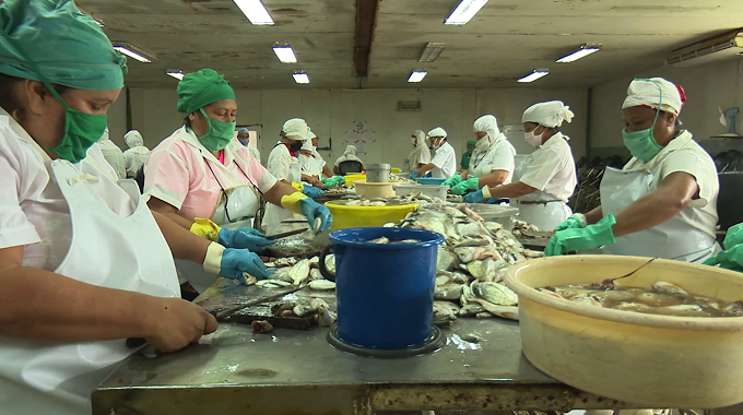 Empresa pesquera de Las Tunas apuesta por el incremento de sus producciones