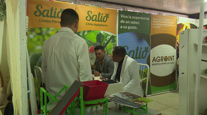 Las Tunas apuesta por consolidar exportaciones pese a incumplimientos