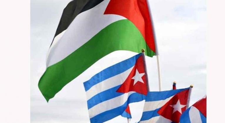 Cuba alza su voz por Palestina en nombre de defensores de Carta de ONU