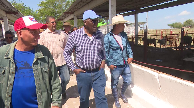 Chequea Valdés Mesa en Las Tunas avances en la producción de alimentos y de la zafra azucarera
