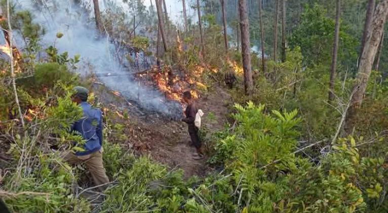 Incendio forestal afecta más de mil 900 hectáreas