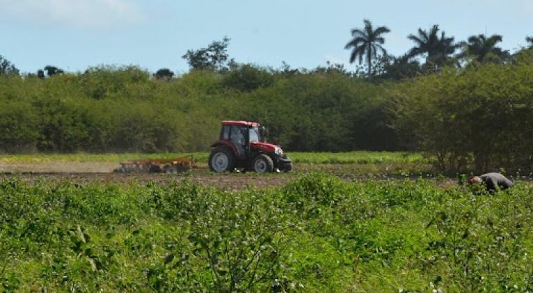 Gobierno en Cuba aboga por atención a programas de desarrollo local