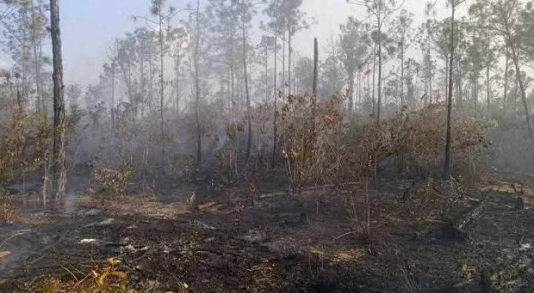 Cuba: 136 incendios forestales en algo más de dos meses