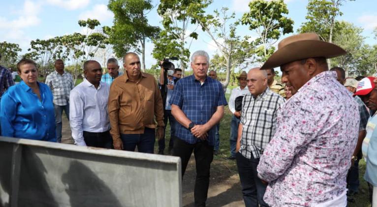 Recorre Díaz-Canel municipios de Las Tunas